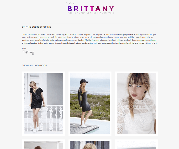 Brittany - WordPress Blogging Themes
