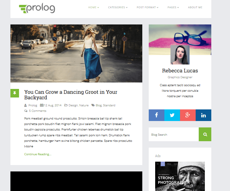 Prolog - WordPress Blogging Themes